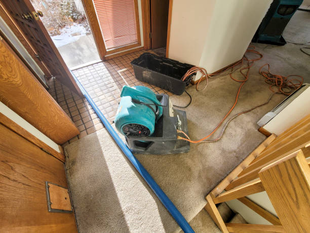Sewage cleanup and water damage restoration in Coaling, AL