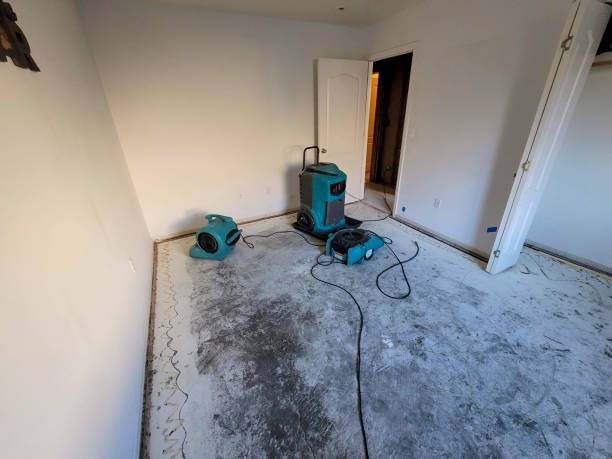  Coing, AL Water damage restoration Pros