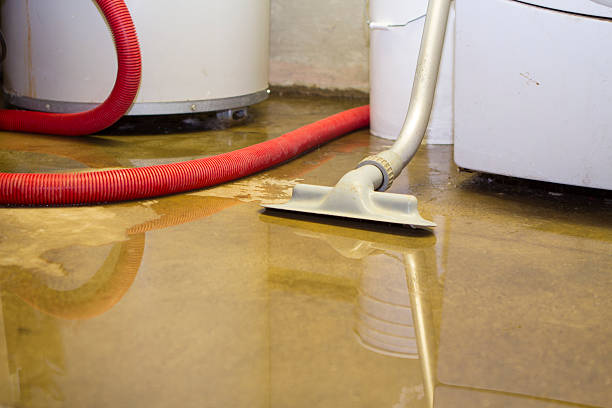 Professional Water damage restoration in Coaling, AL