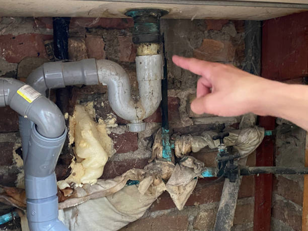 Best Flooded house restoration  in Coing, AL